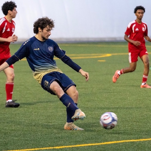 Domenic Narducci